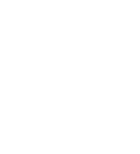 Triagon Logo