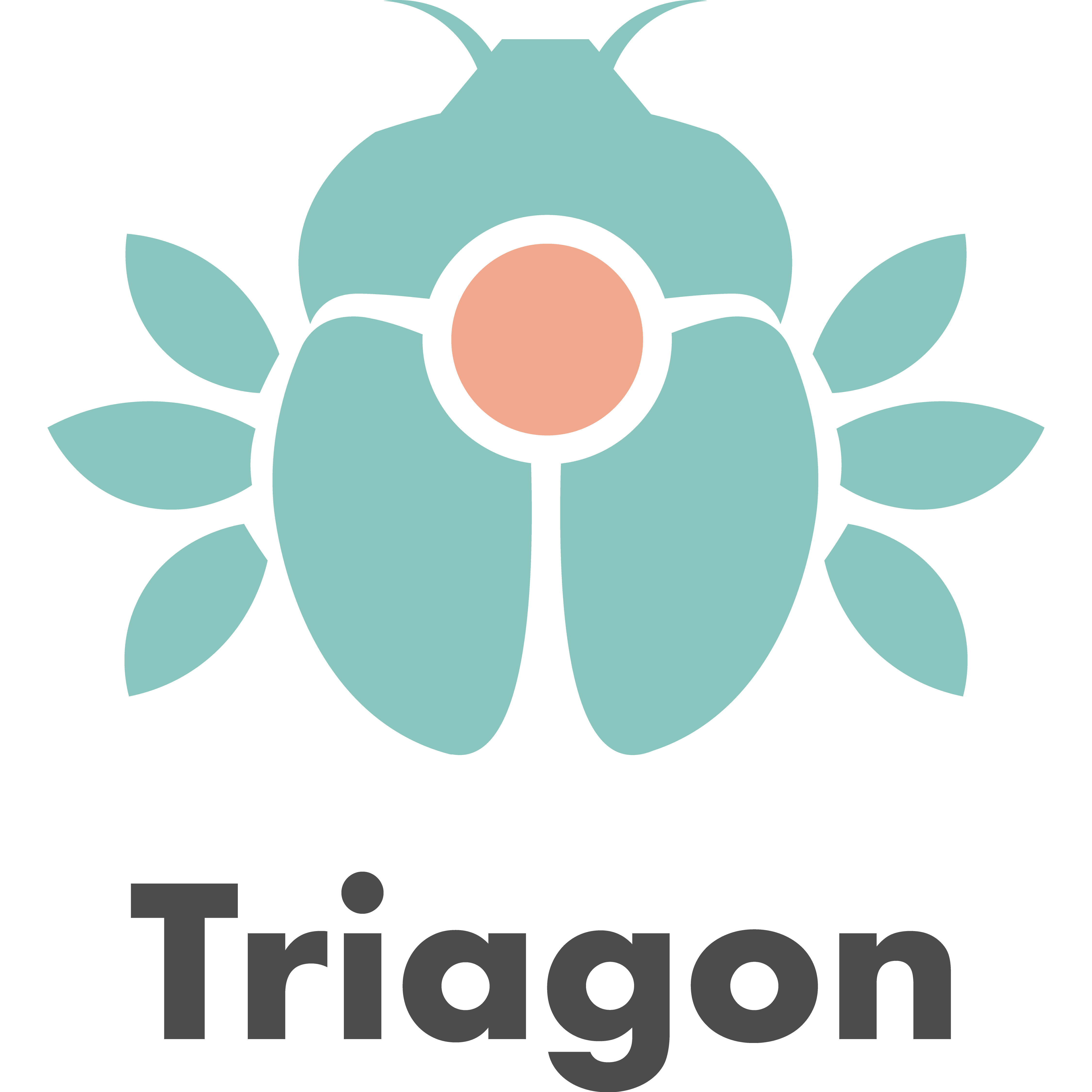 Triagon Logo